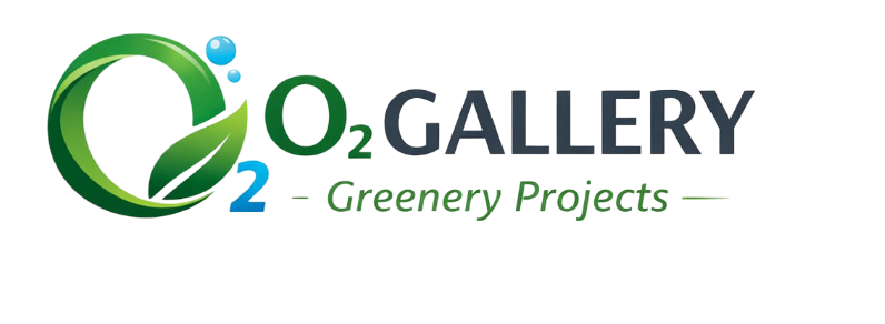 O₂ Gallery